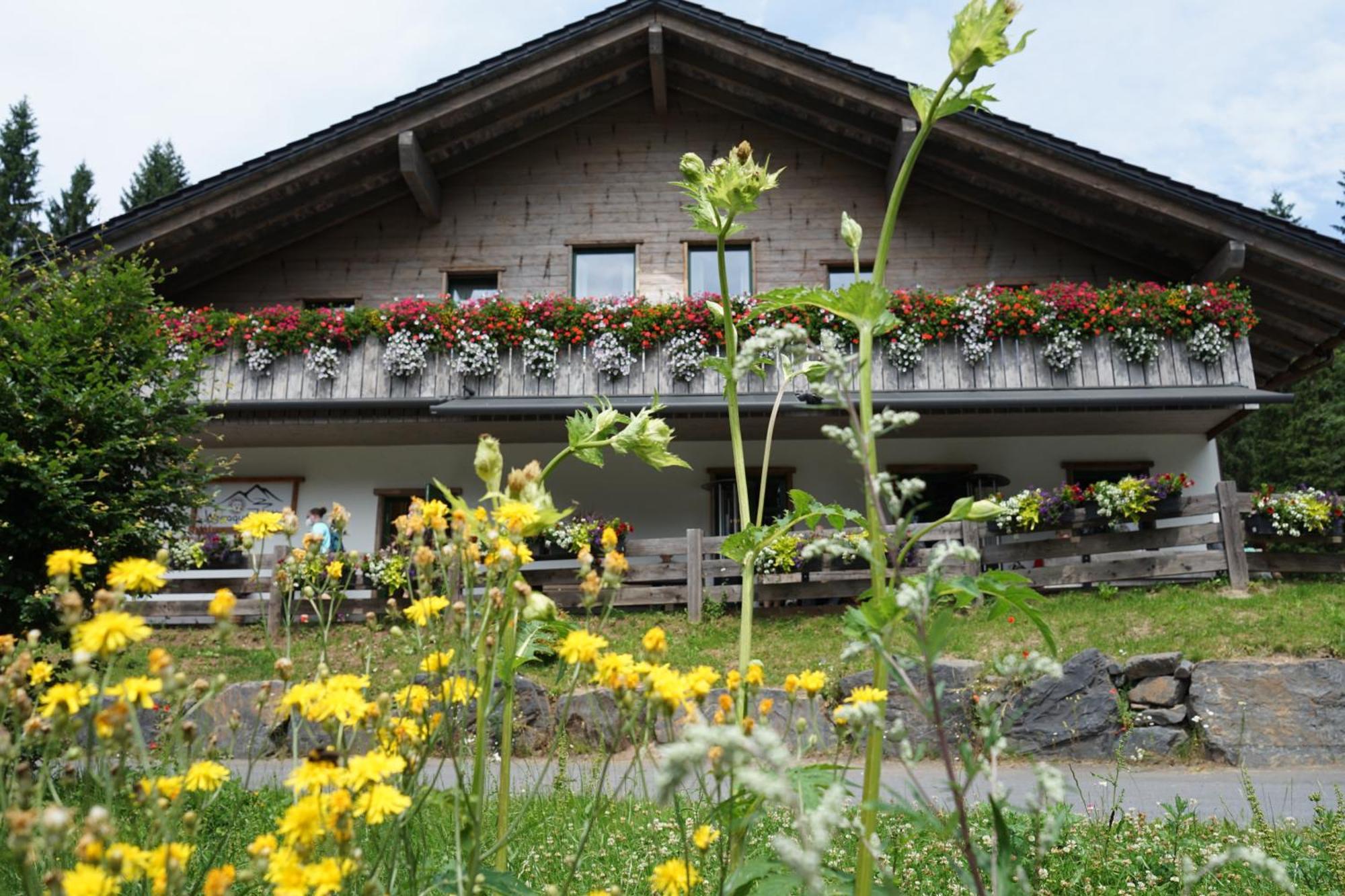 Apartment Werraquell Huette *